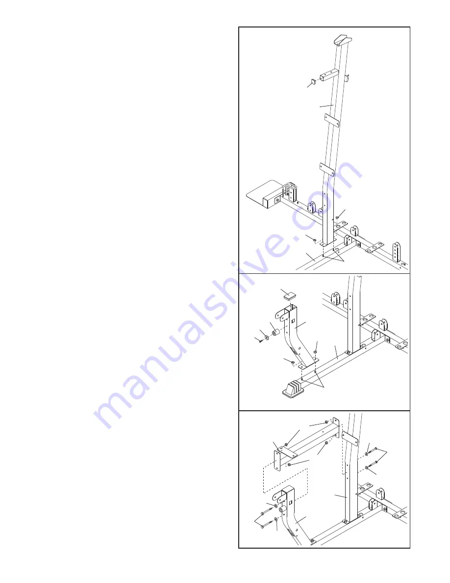 Weider 831.153932 Скачать руководство пользователя страница 7