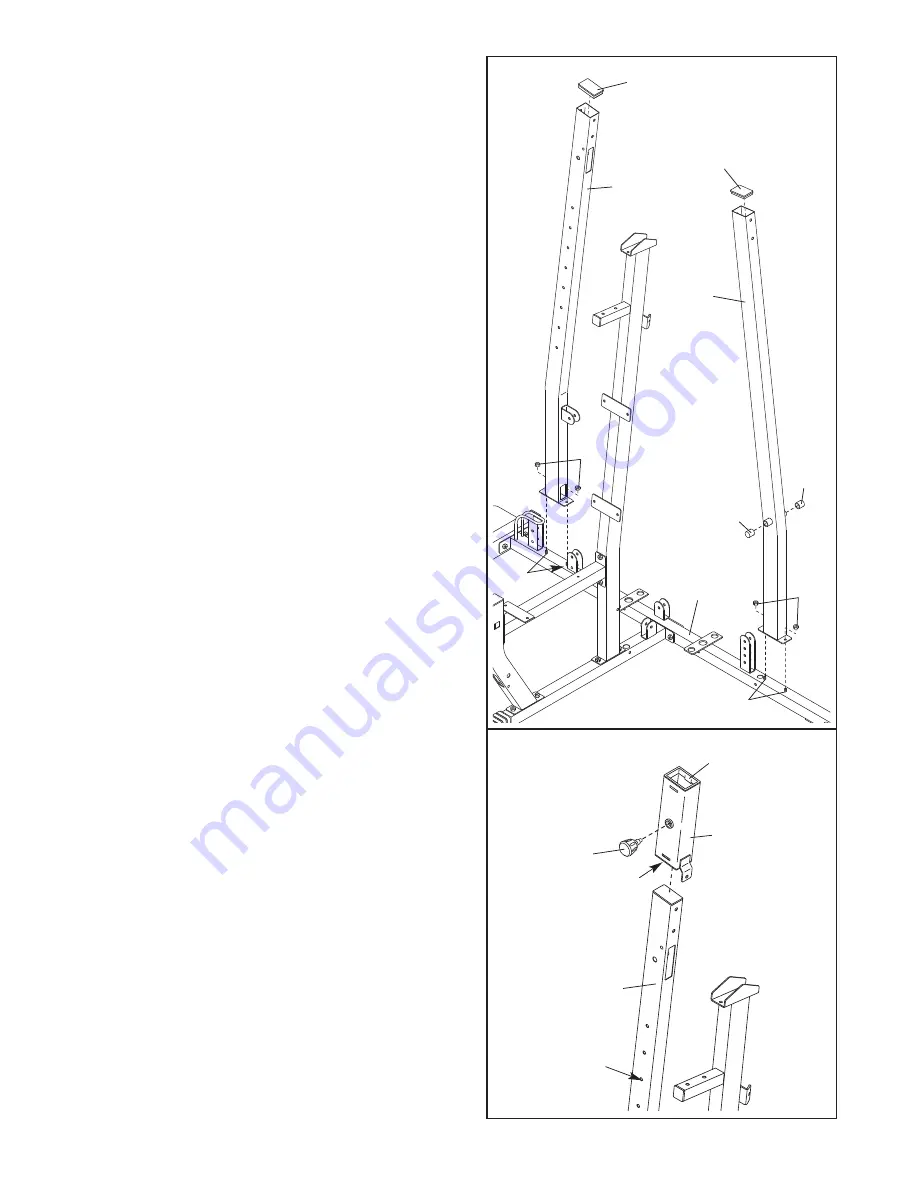 Weider 831.153932 Скачать руководство пользователя страница 8