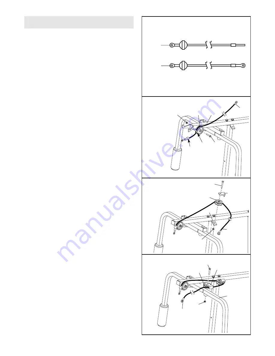 Weider 831.159711 Скачать руководство пользователя страница 8