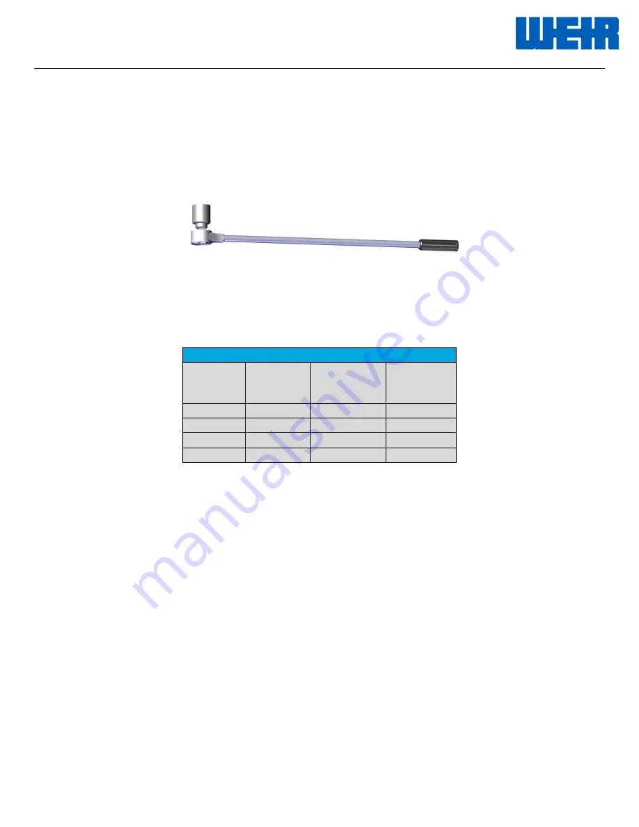 Weir Safety Iron Operating And Maintenance Instructions Manual Download Page 14