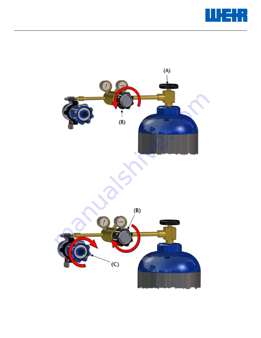 Weir SPM EXL Скачать руководство пользователя страница 12