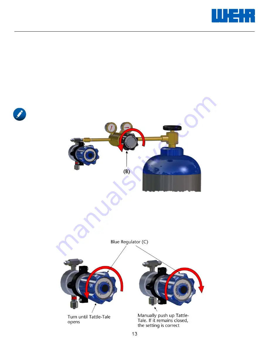 Weir SPM EXL Скачать руководство пользователя страница 13