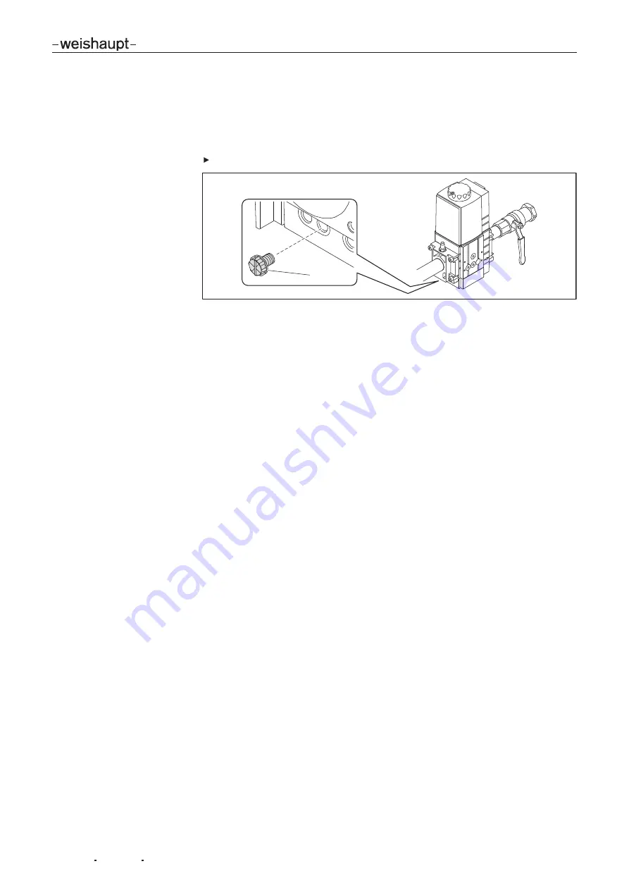 Weishaupt WG20-/1-C LN Series Manual Download Page 63