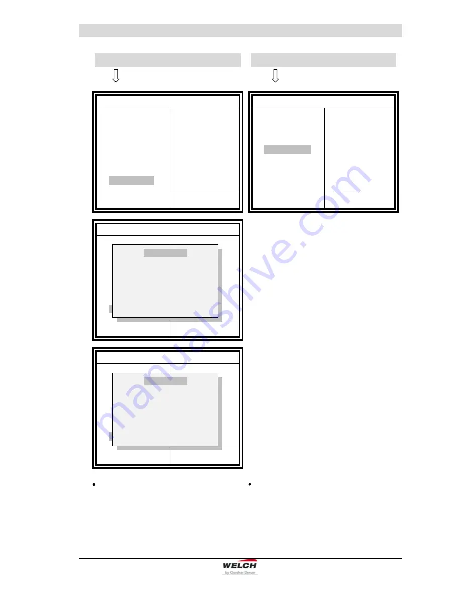 Welch LVS 300 Z Operating Manual Download Page 29