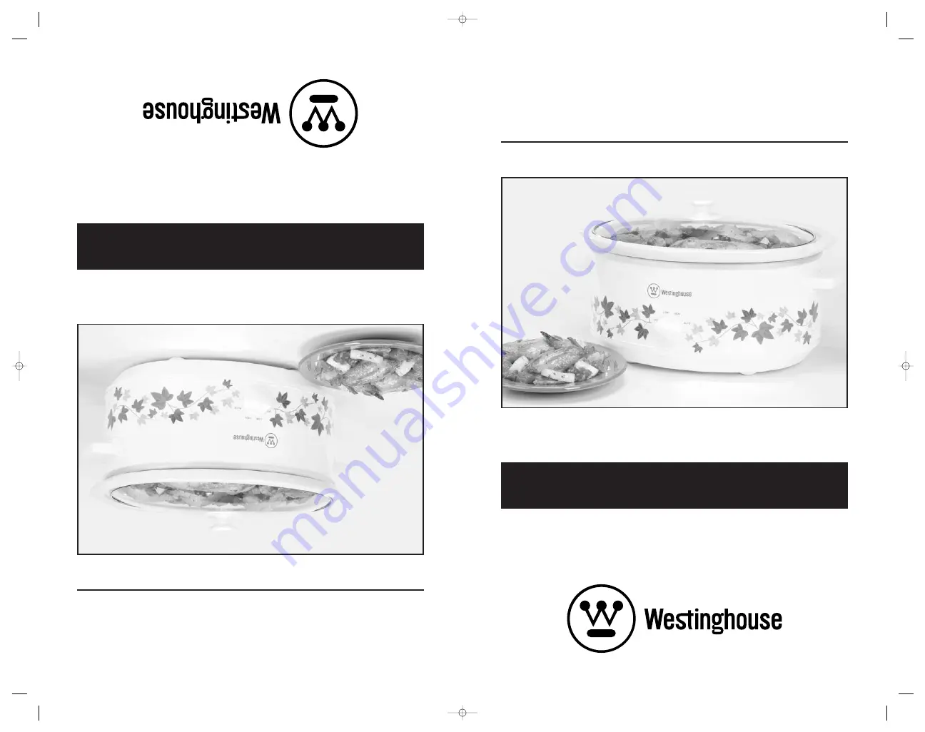 Westinghouse WST3012ZE Скачать руководство пользователя страница 1