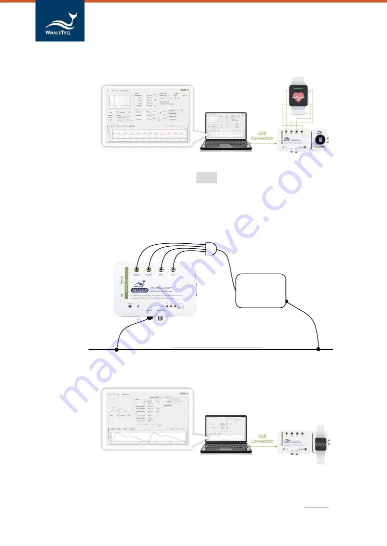 WHALETEQ AECG100 User Manual Download Page 16