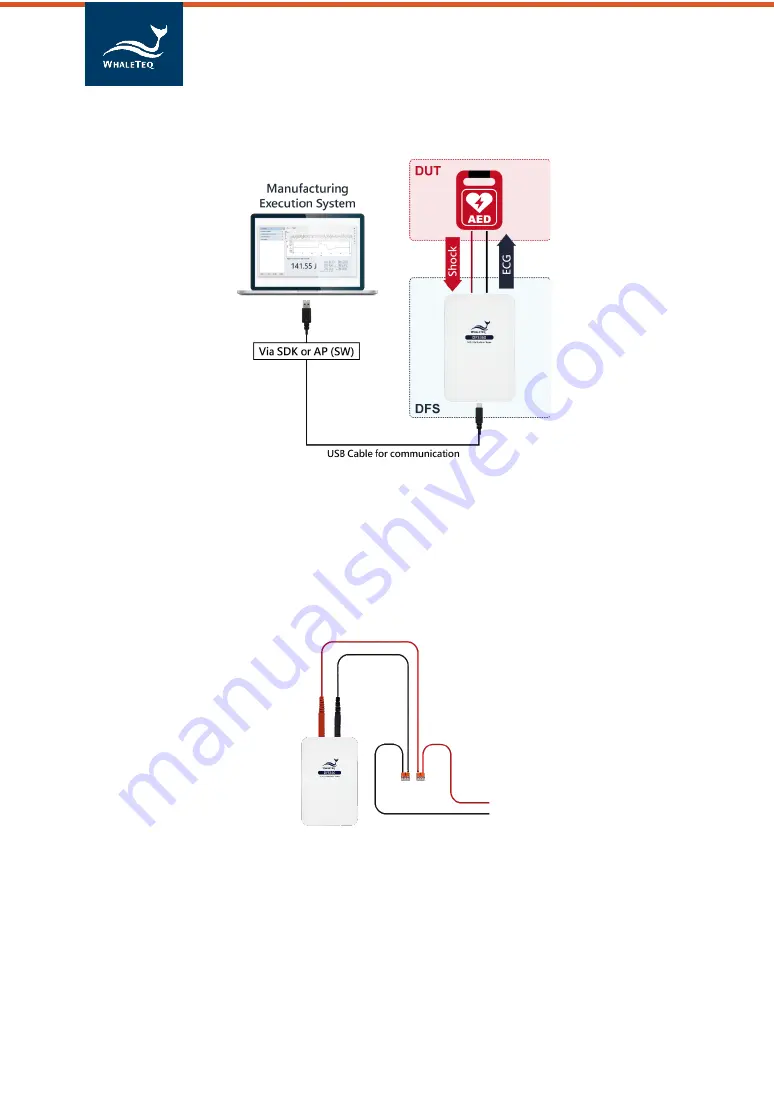 WHALETEQ DFS360 User Manual Download Page 13