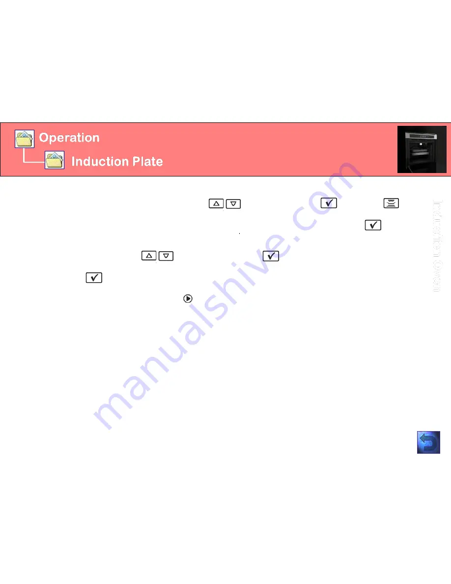 Whirlpool Minerva Manual Download Page 21