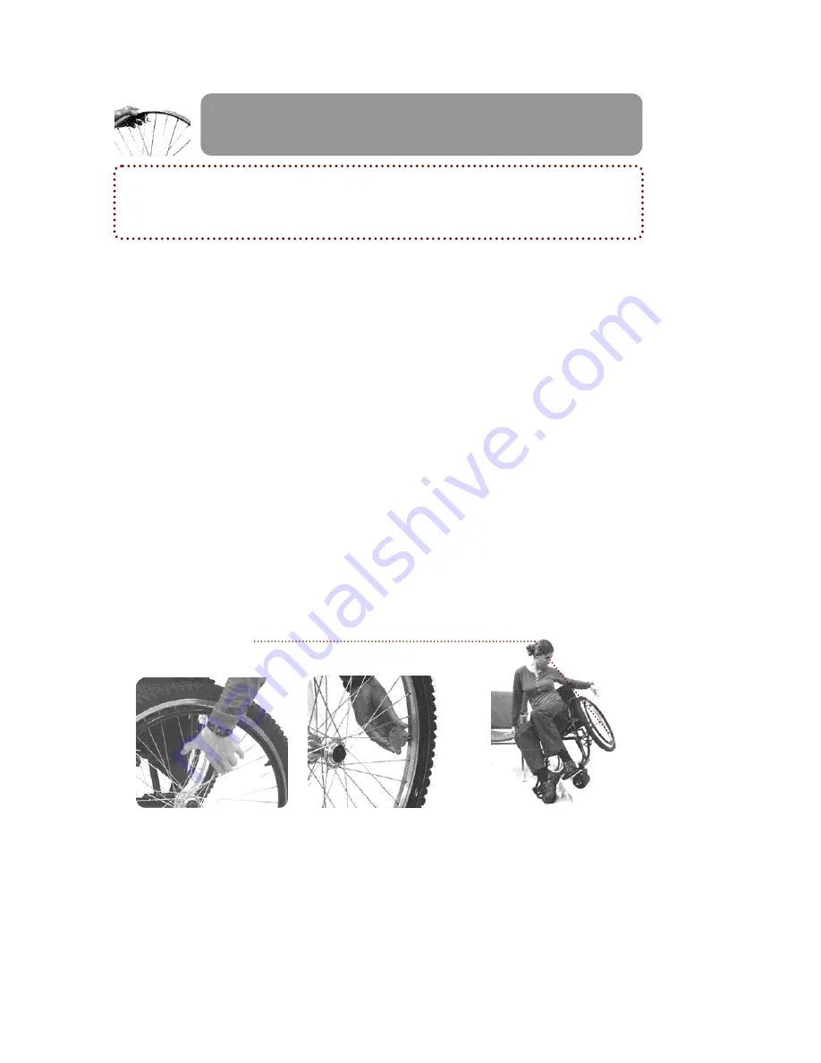 Whirlwind RoughRider User Manual Download Page 24