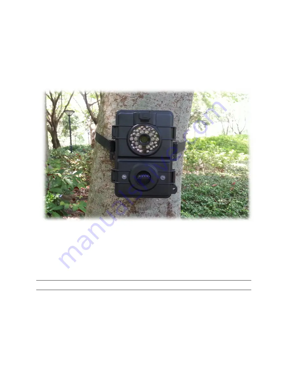 WildSpy CAM AC-833S Скачать руководство пользователя страница 1