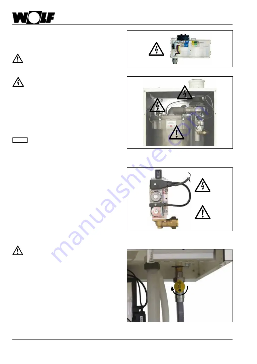 Wolf CGB-100 Instructions Manual Download Page 2