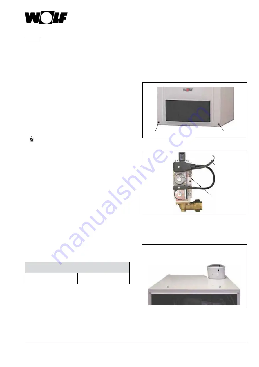 Wolf CGB-100 Instructions Manual Download Page 7