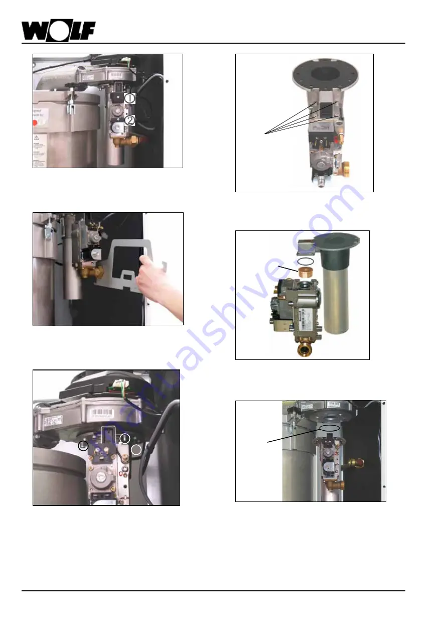 Wolf CGB-100 Instructions Manual Download Page 14