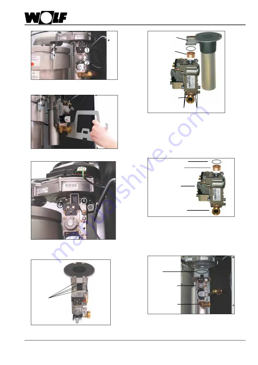 Wolf CGB-100 Instructions Manual Download Page 65