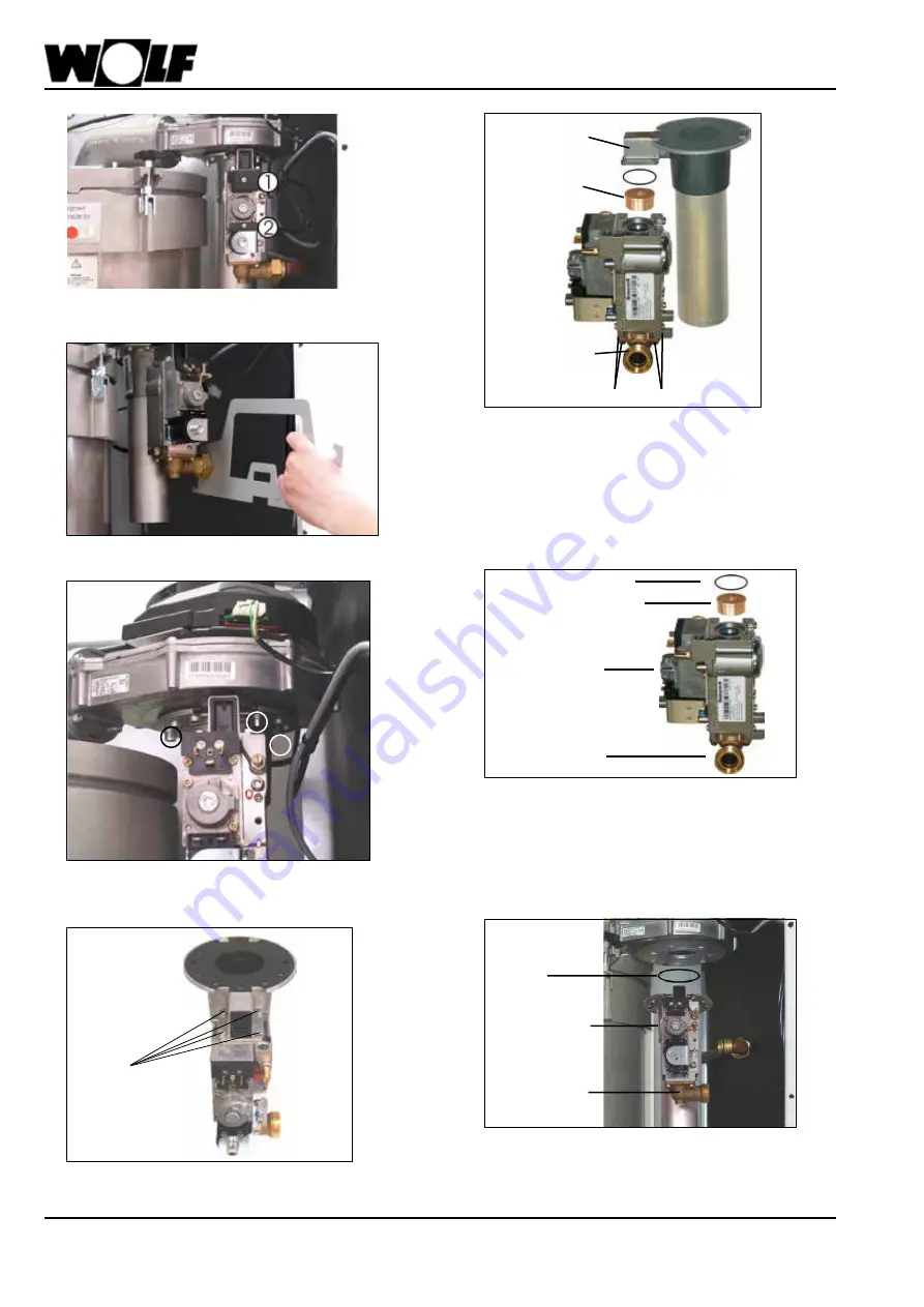 Wolf CGB-100 Instructions Manual Download Page 84