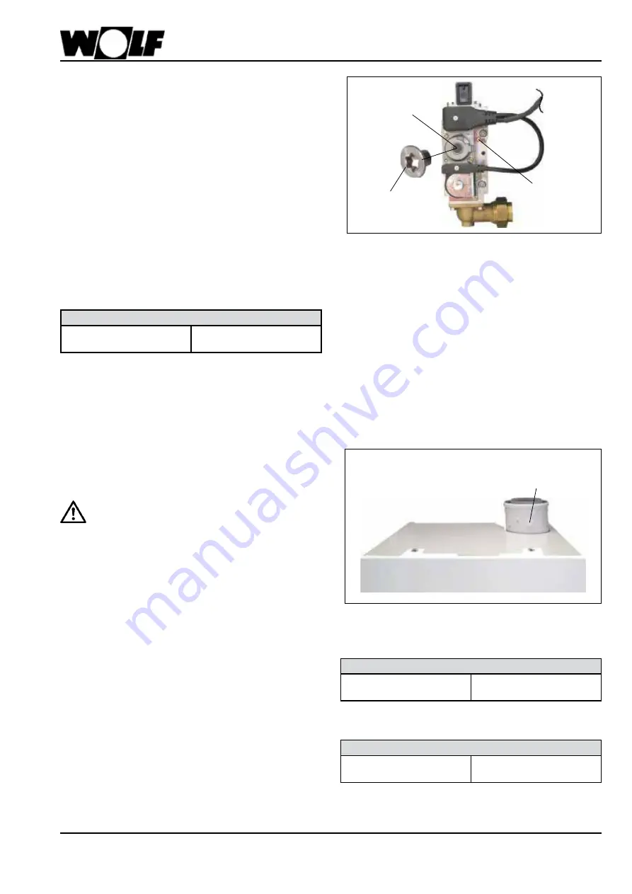 Wolf CGB-100 Instructions Manual Download Page 87