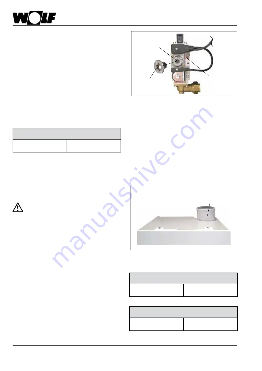 Wolf CGB-100 Instructions Manual Download Page 96