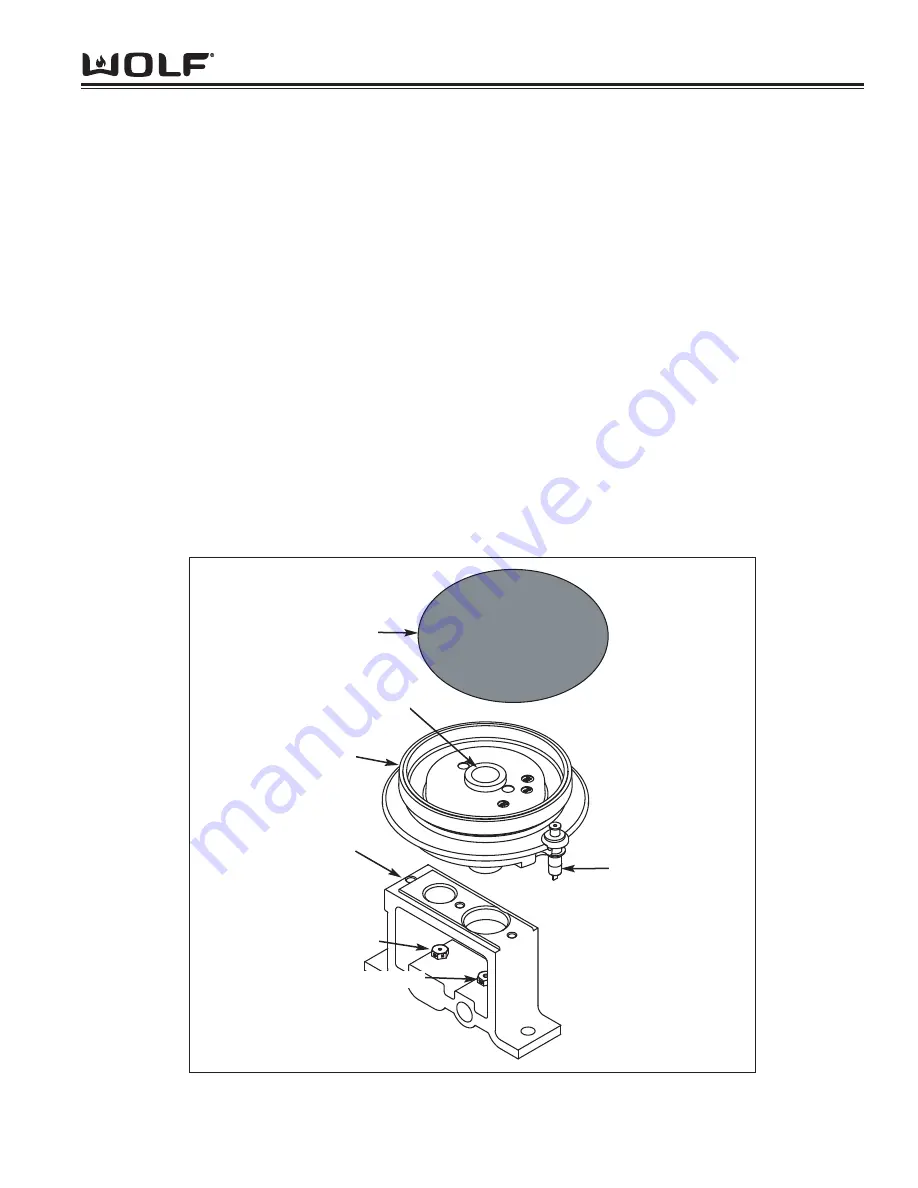 Wolf DF304 Technical & Service Manual Download Page 23