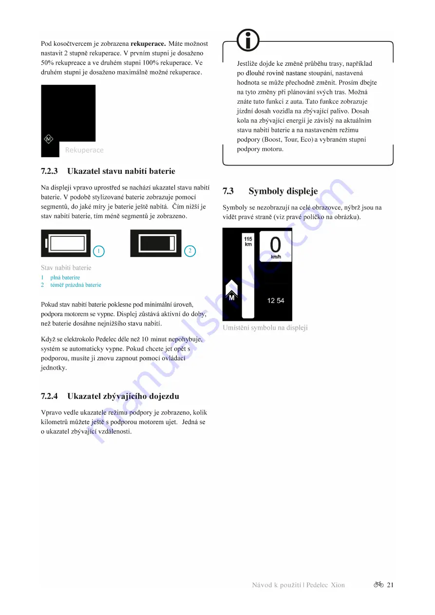 Xion Pedelec Скачать руководство пользователя страница 113