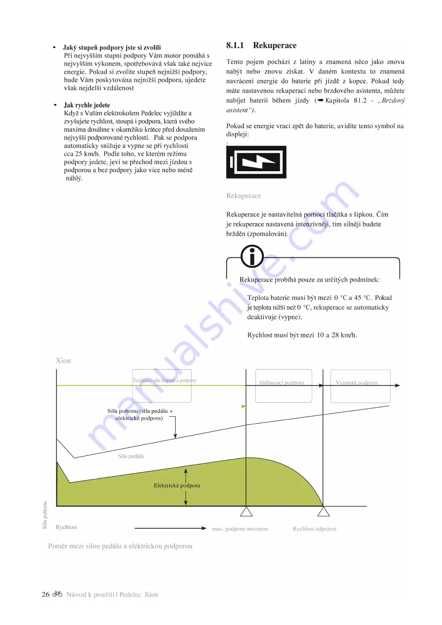 Xion Pedelec Скачать руководство пользователя страница 118
