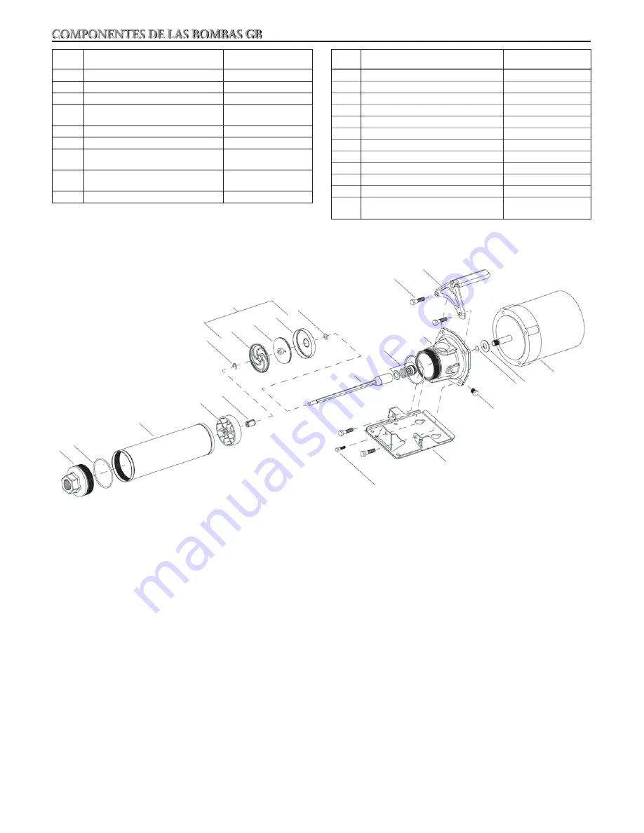 Xylem GOULDS GB Instruction Manual Download Page 13