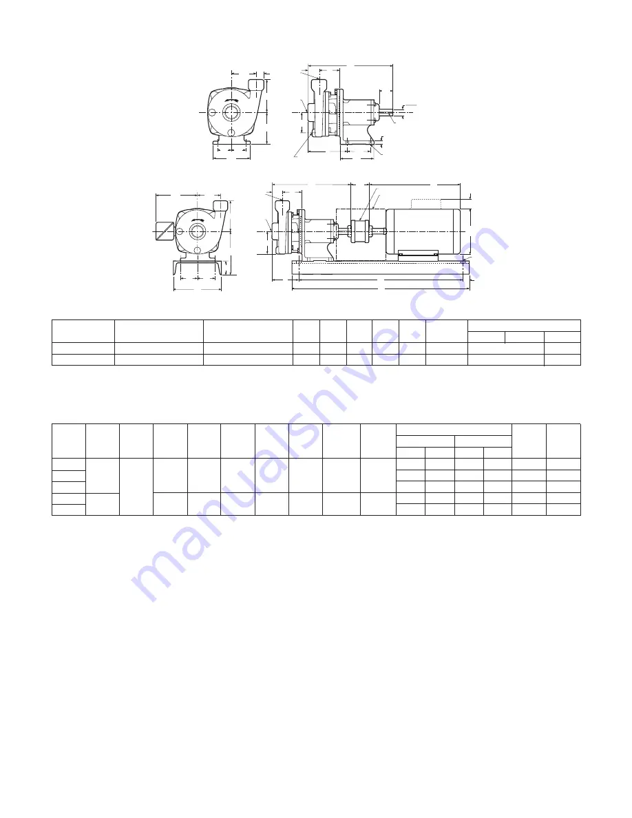 Xylem GOULDS ICS Instruction Manual Download Page 9