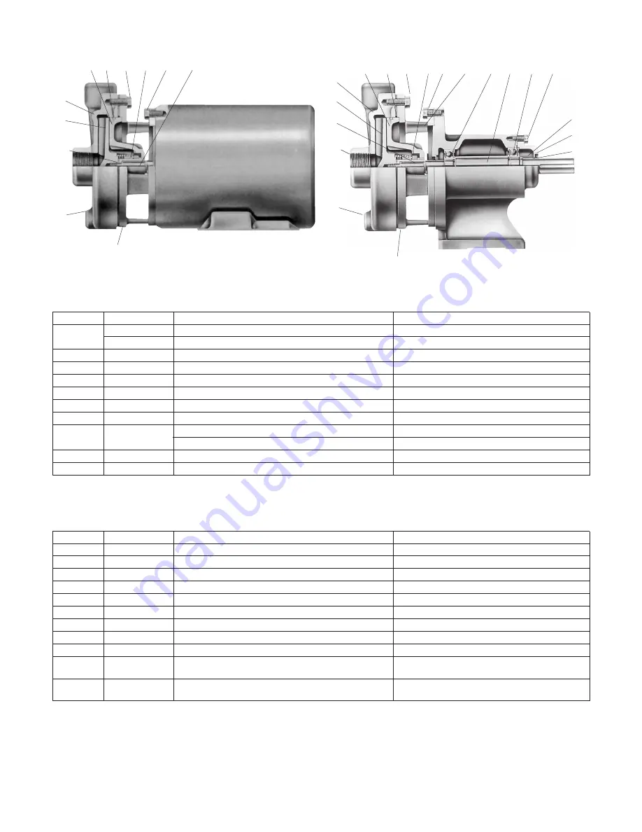 Xylem GOULDS ICS Instruction Manual Download Page 17