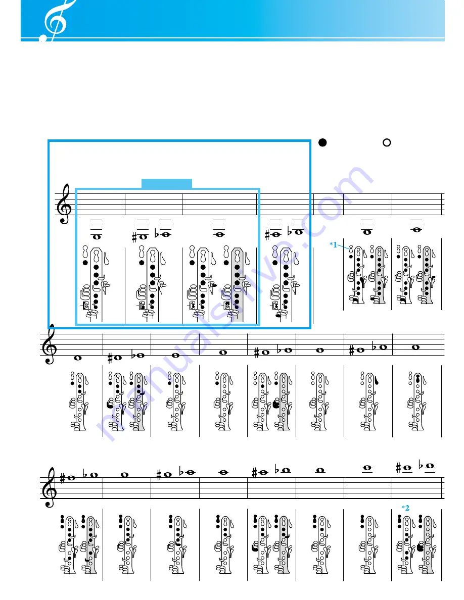 Yamaha Clarinet 2428440 Скачать руководство пользователя страница 12