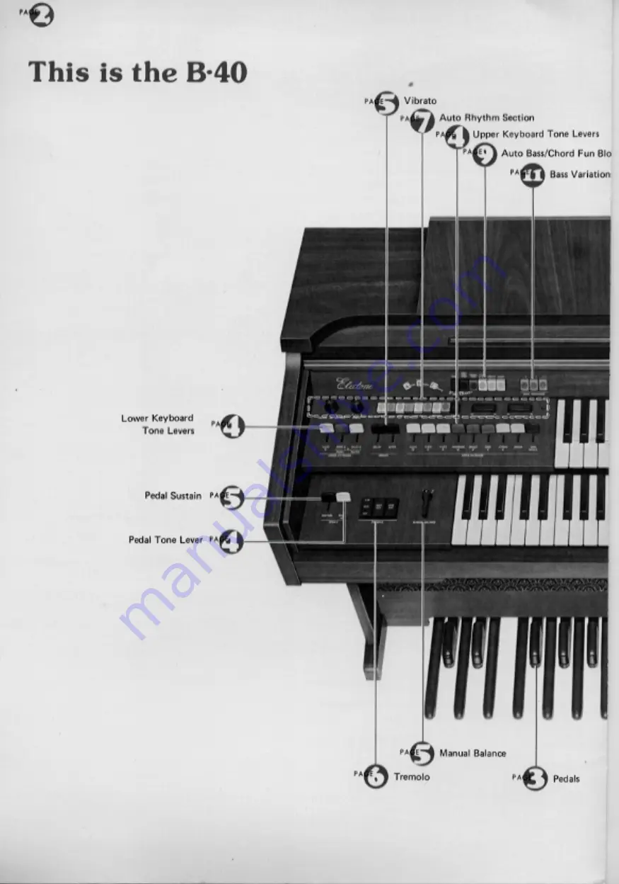 Yamaha Electone B-40 User Manual Download Page 4