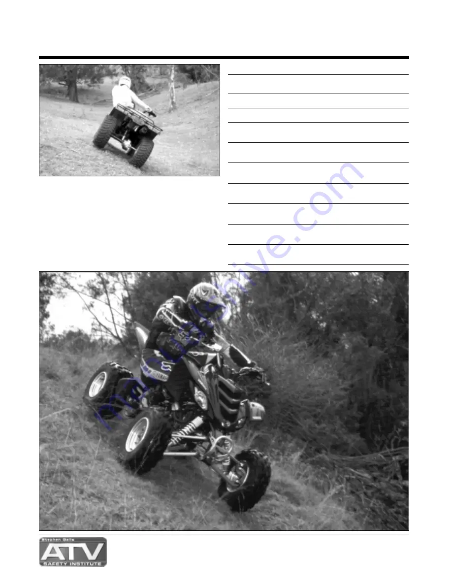 Yamaha Raptor Скачать руководство пользователя страница 21