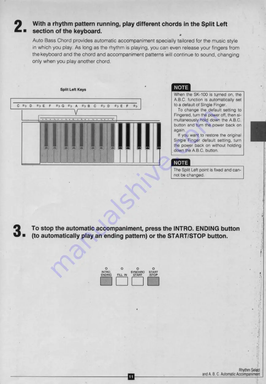 Yamaha SK-100 Owner'S Manual Download Page 19