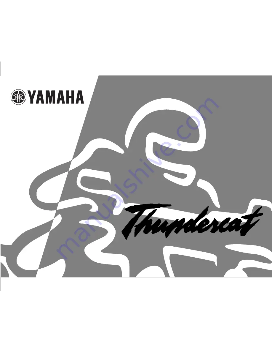 Yamaha Thundercat YZF600R Скачать руководство пользователя страница 1