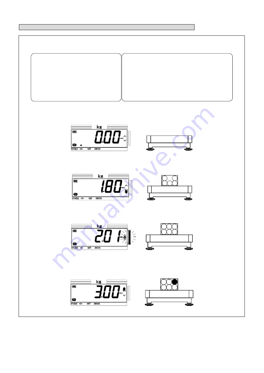 Yamato DP-6900 Operation Manual Download Page 21