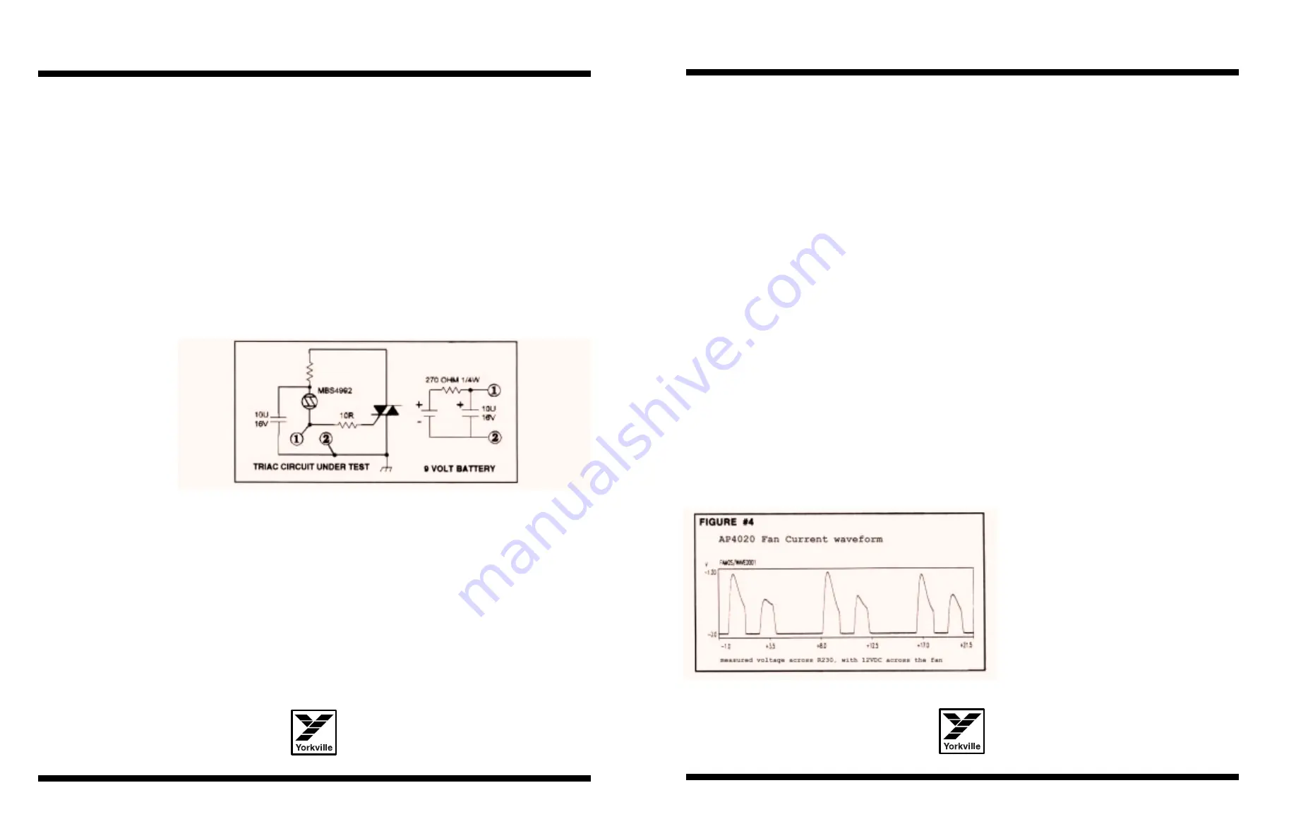 YORKVILLE Professional AP4020 Скачать руководство пользователя страница 6