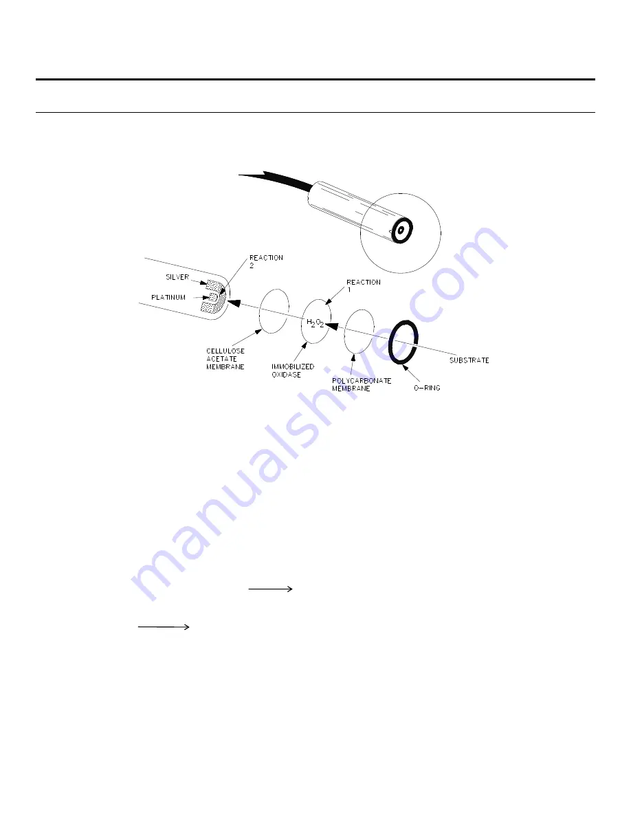 YSI 2900 series Operation And Maintenance Manual Download Page 150