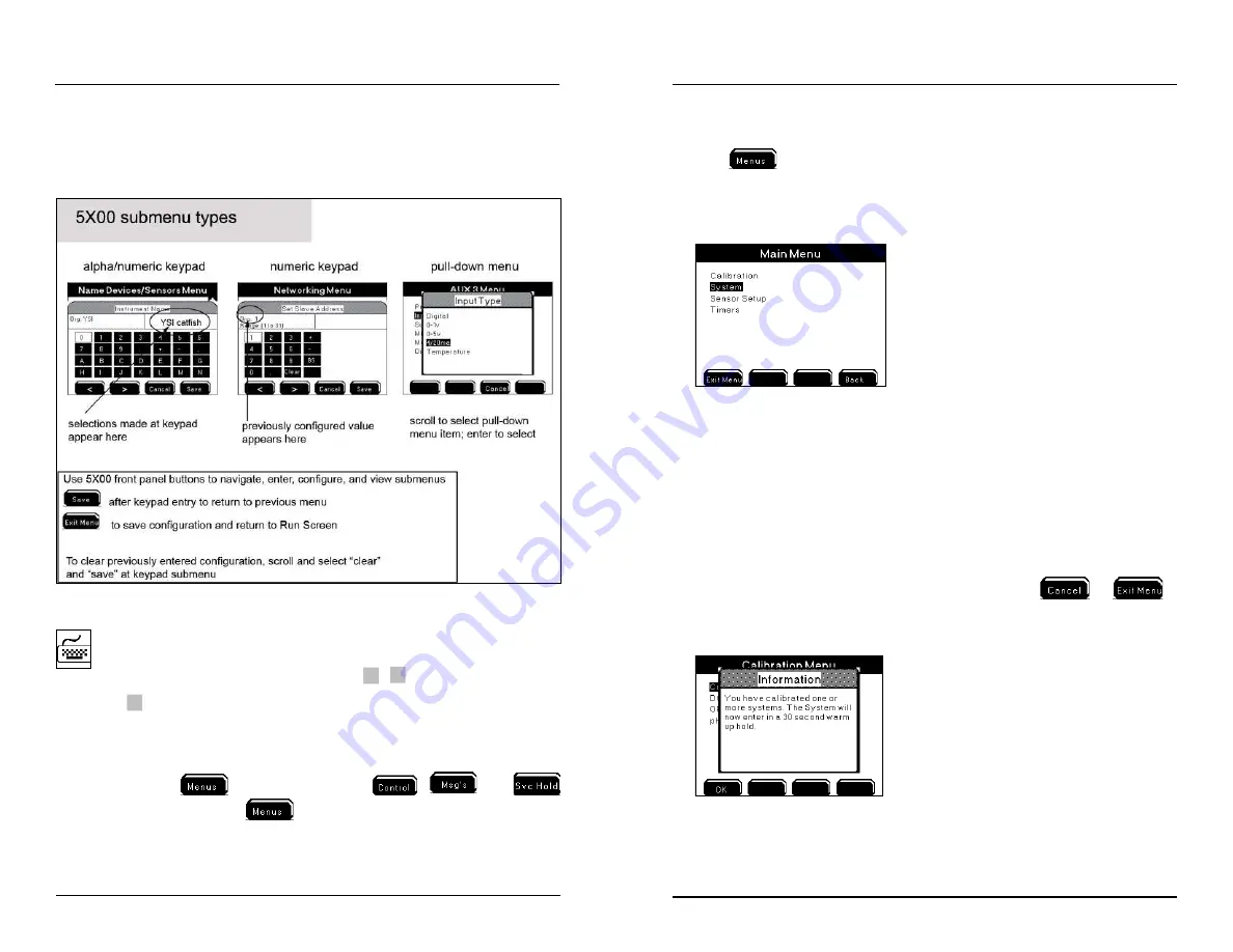 YSI MultiDO 5400 User Manual Download Page 41