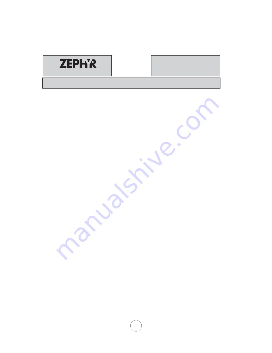 Zephyr Siena Pro ZSP-E36BS Скачать руководство пользователя страница 19